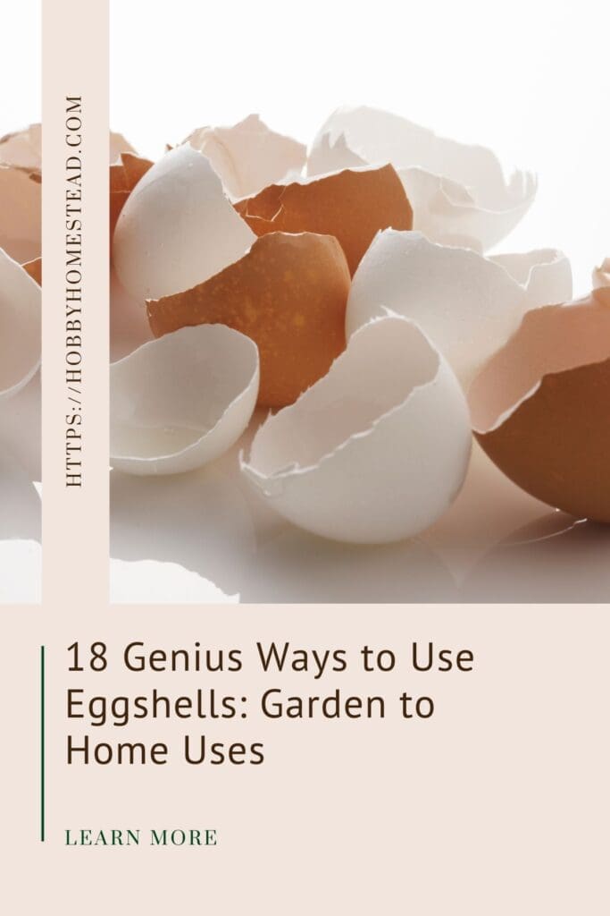 18 Genius Ways to Use Eggshells Garden to Home Uses