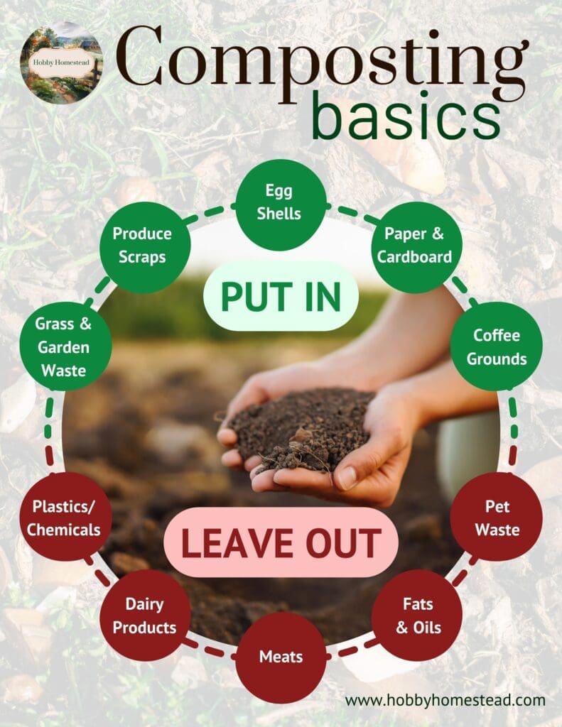 Composting Basics Quick Visual