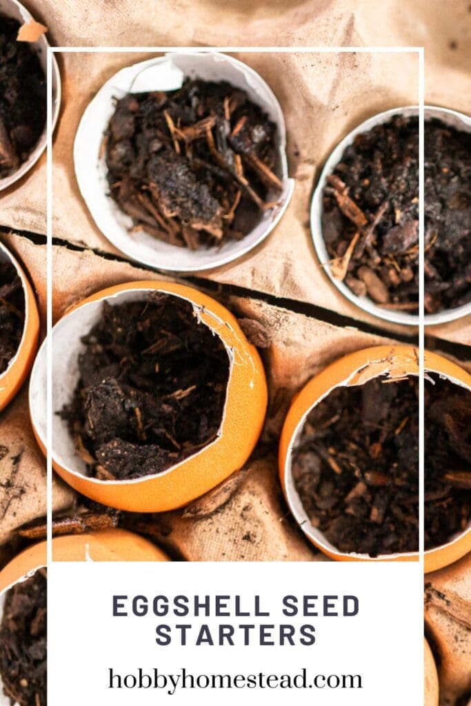 Eggshell Seed Starters