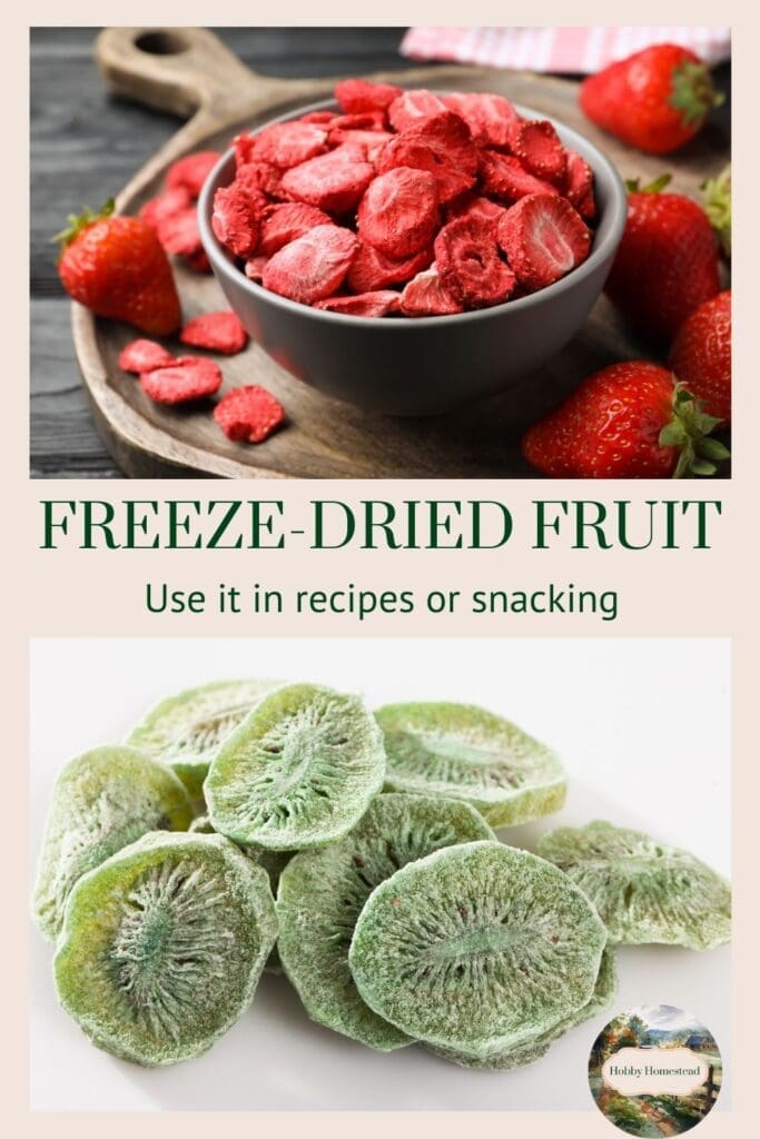 Freeze-Dried Fruit