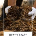 How to Start Composting A Beginner’s Guide