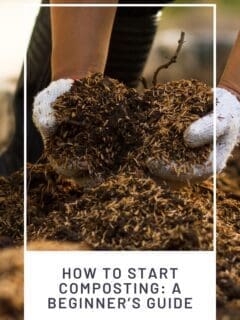 How to Start Composting A Beginner’s Guide