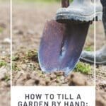 How to Till a Garden by Hand the Double Digging Method