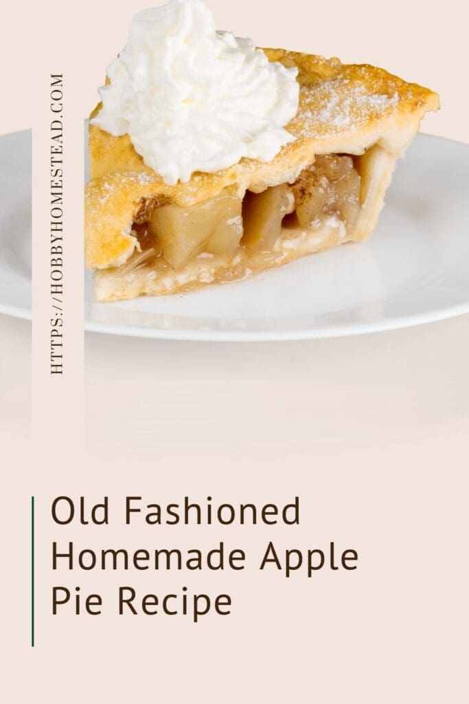 Old Fashioned Homemade Apple Pie Recipe