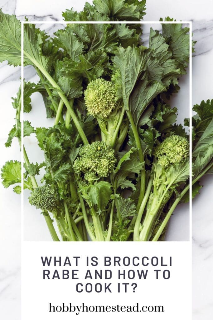 What is Broccoli Rabe and How to Cook it