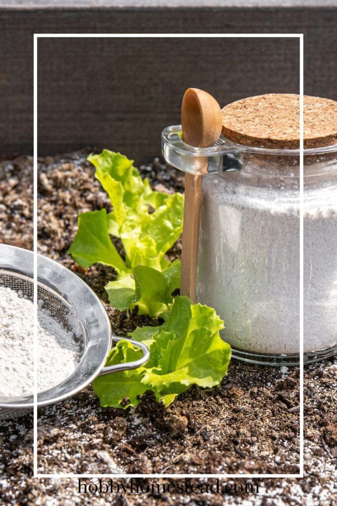 Diatomaceous Earth