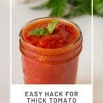 Easy Hack for Thick Tomato Sauce Freeze, Blend, and Can