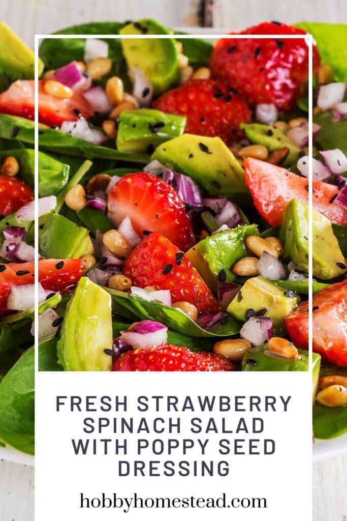 Fresh Strawberry Spinach Salad with Poppy Seed Dressing