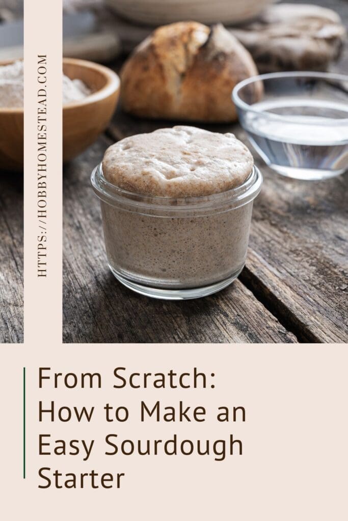 From Scratch How to Make an Easy Sourdough Starter