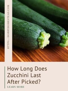 How Long Does Zucchini Last After Picked