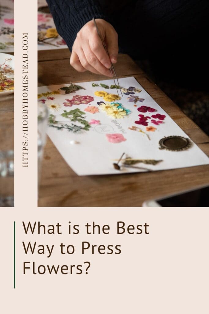 What is the Best Way to Press Flowers