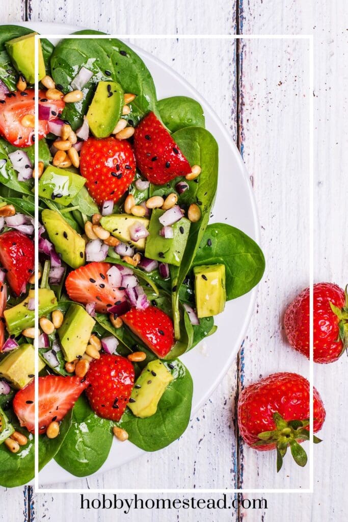 spinach salad with fresh strawberries