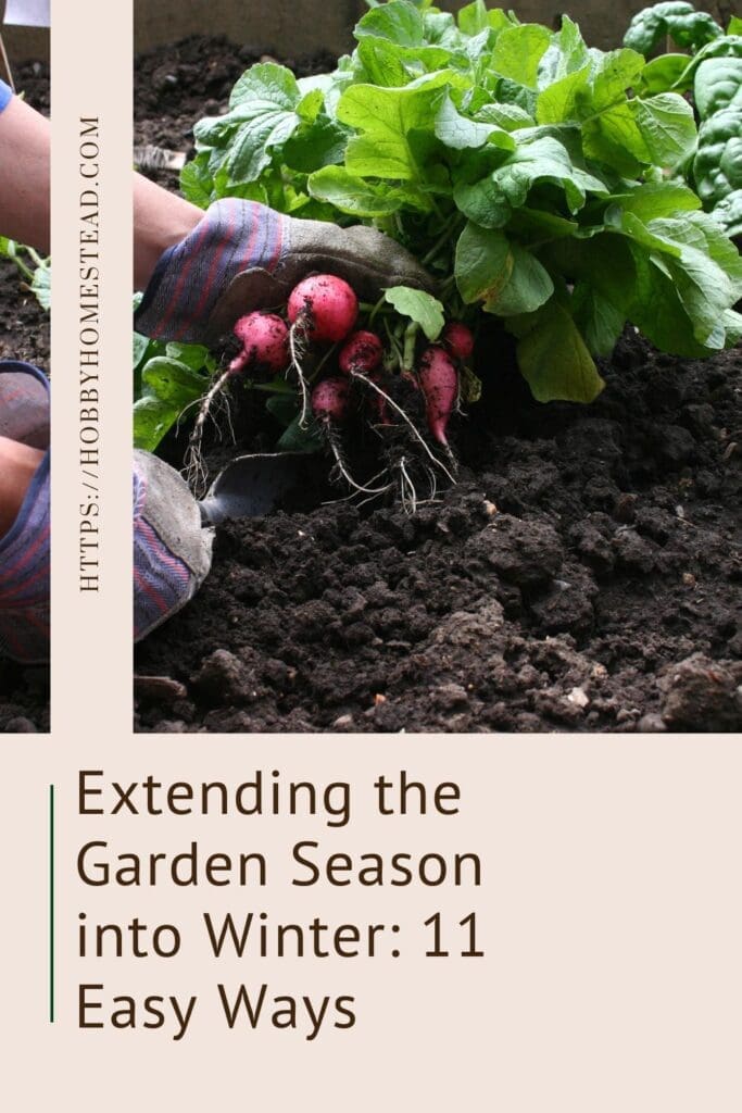 Extending the Garden Season into Winter 11 Easy Ways