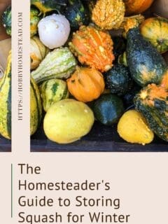 The Homesteader's Guide to Storing Squash for Winter