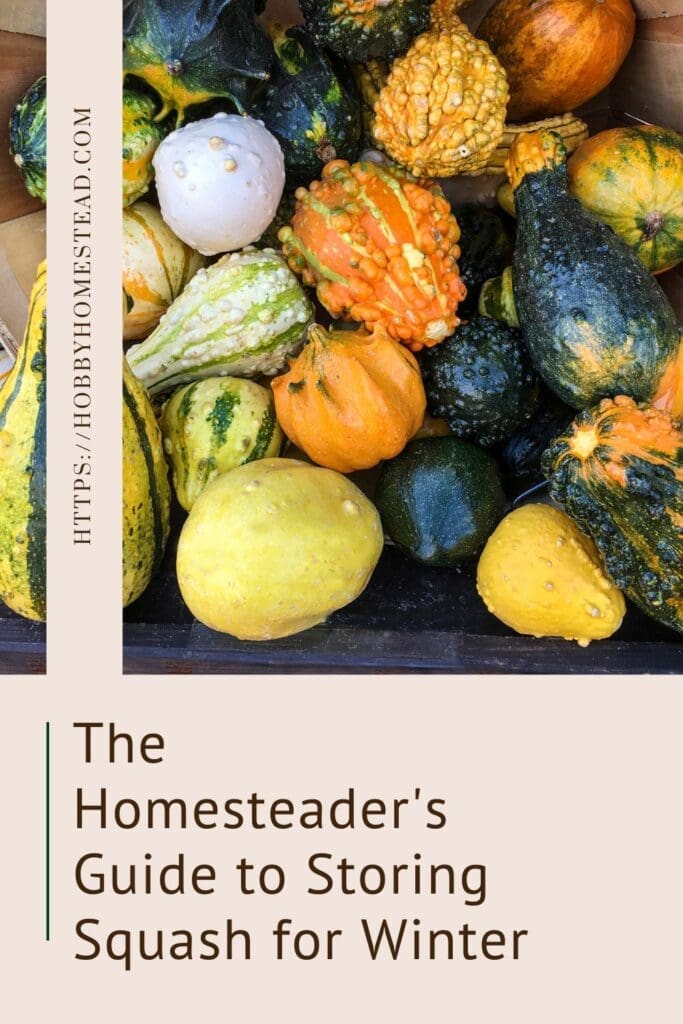 The Homesteader's Guide to Storing Squash for Winter