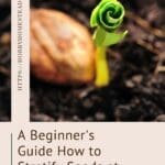 A Beginner's Guide How to Stratify Seeds at Home