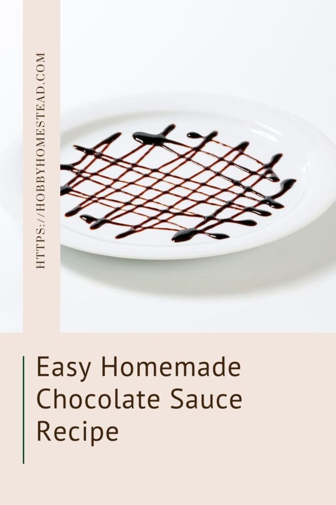 Easy Homemade Chocolate Sauce Recipe