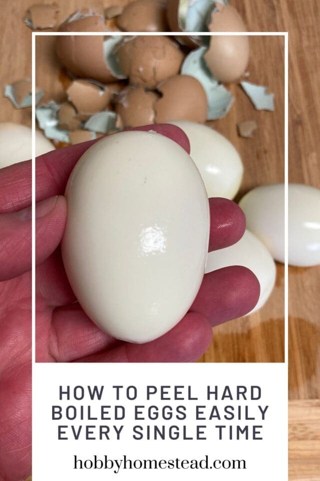 How to Peel Hard Boiled Eggs Easily Every Single Time - Hobby Homestead - How To Boil Eggs Easily