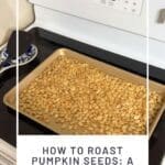 How to Roast Pumpkin Seeds A Family Favorite Recipe