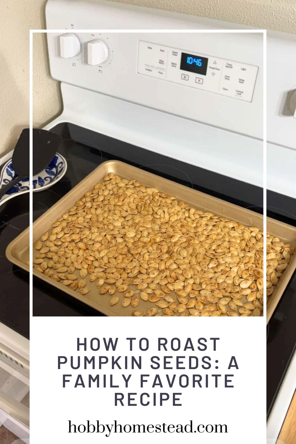 Harvest Roast Pumpkin Seeds Garlic Herb  (12x2 OZ)