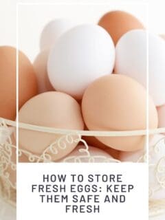 How to Store Fresh Eggs Keep Them Safe and Fresh