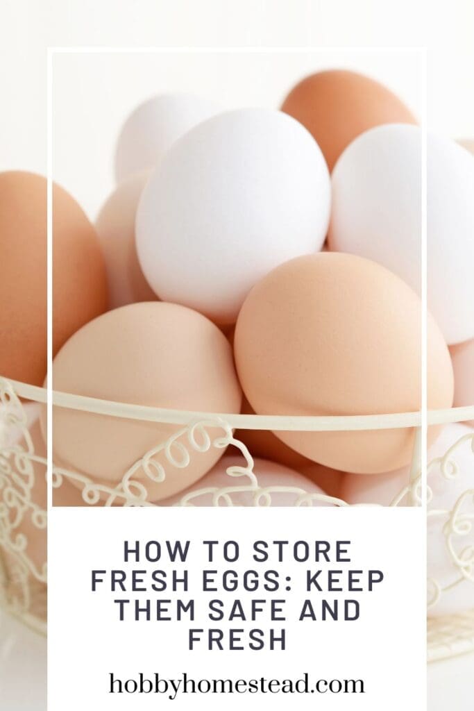 How to Store Fresh Eggs Keep Them Safe and Fresh