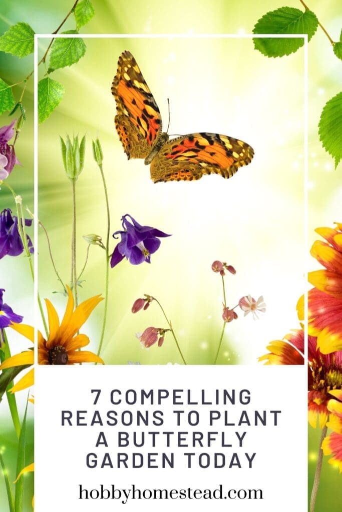 7 Compelling Reasons to Plant a Butterfly Garden Today