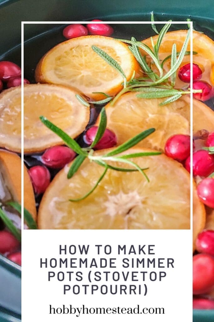 How to Make Homemade Simmer Pots (Stovetop Potpourri)