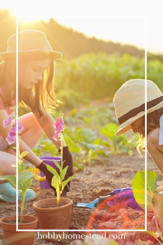 Planting a Butterfly Garden