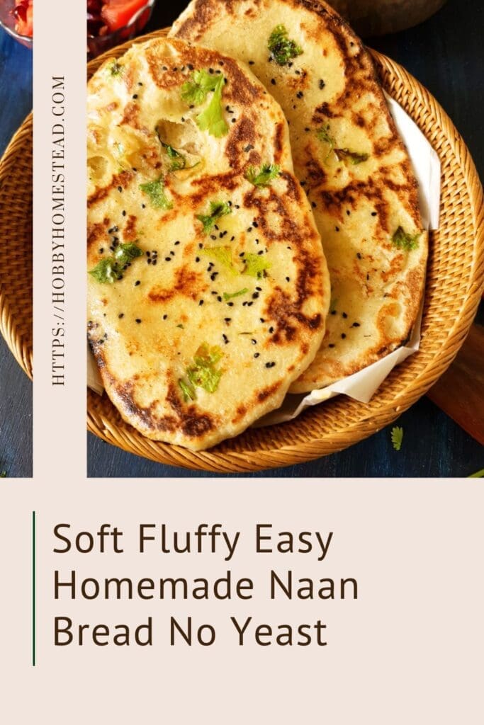 Soft Fluffy Easy Homemade Naan Bread No Yeast