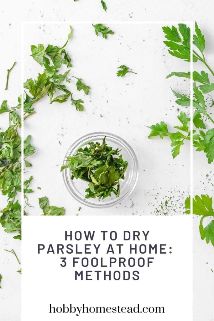 How to Dry Parsley at Home 3 Foolproof Methods