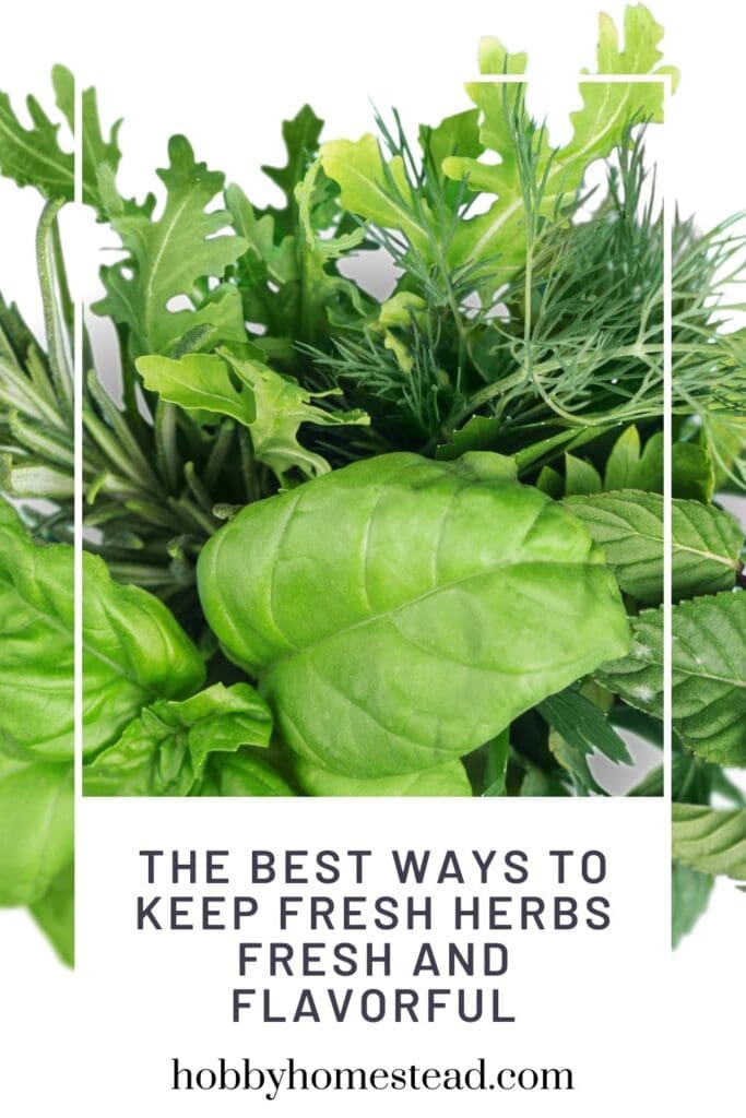 The Best Ways to Keep Fresh Herbs Fresh and Flavorful