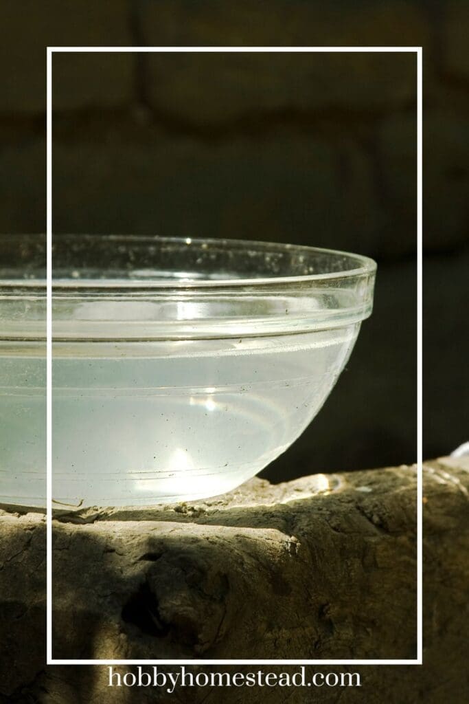 Using Water from Soaking Sourdough from Utensils and Bowls
