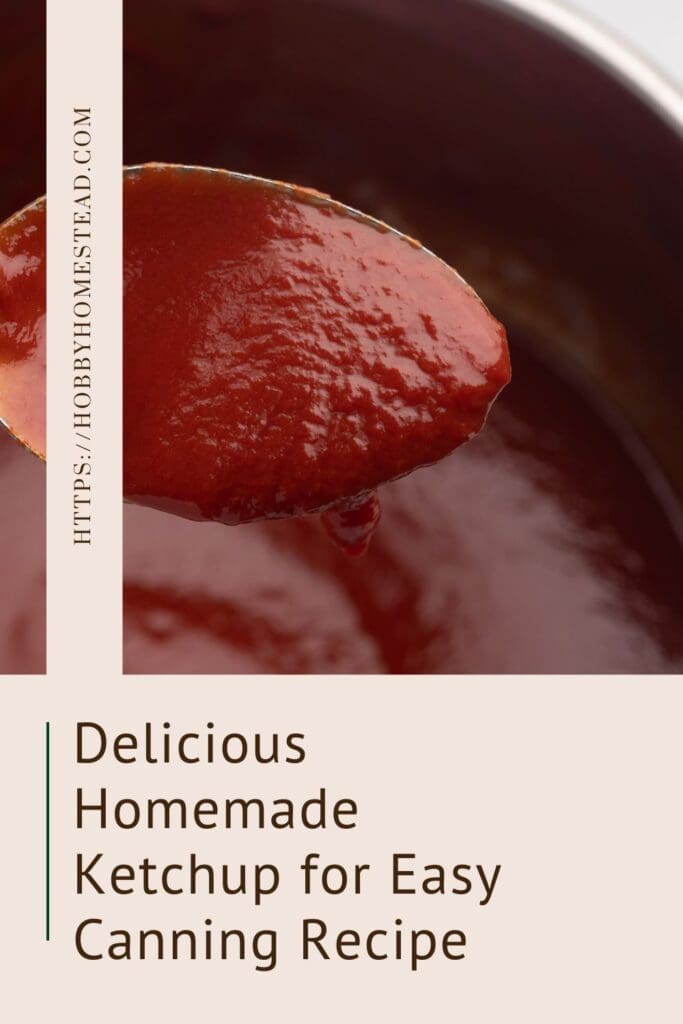 Delicious Homemade Ketchup for Easy Canning Recipe