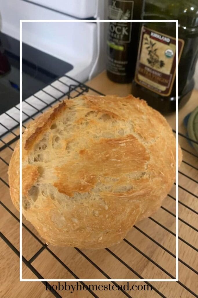Making Homemade Sourdough Bread