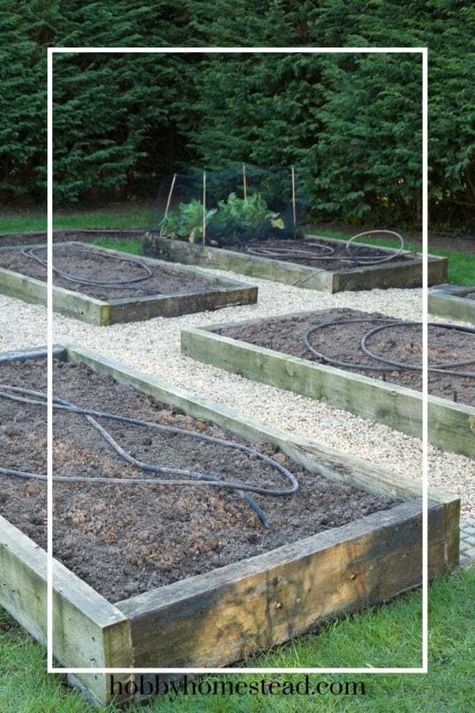 Raised Bed Gardening