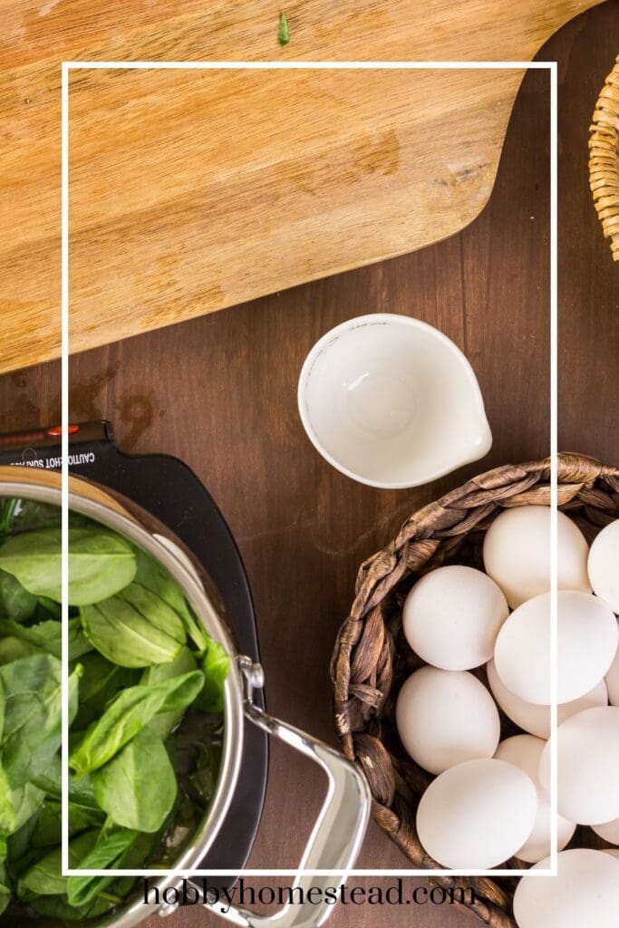 Spinach Leaves for Pale Green Easter Eggs