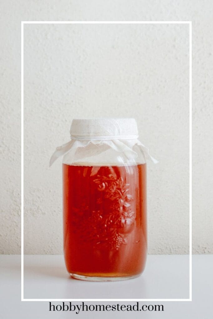 Bottle of flavored kombucha fermenting
