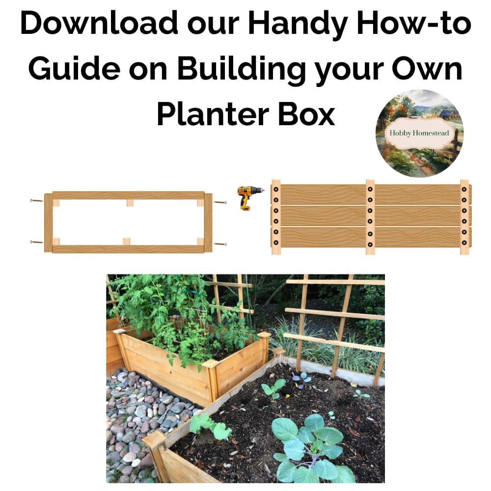 Download our handy how-to guide