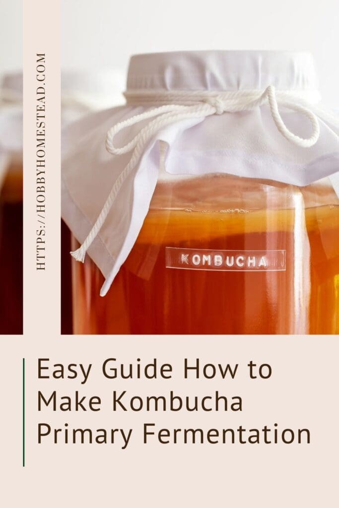 Easy Guide How to Make Kombucha Primary Fermentation