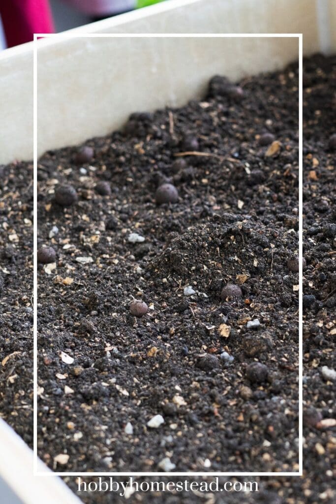 Filling a planter box with dirt