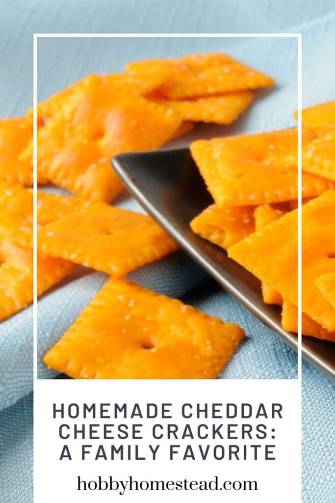 Homemade Cheddar Cheese Crackers A Family Favorite