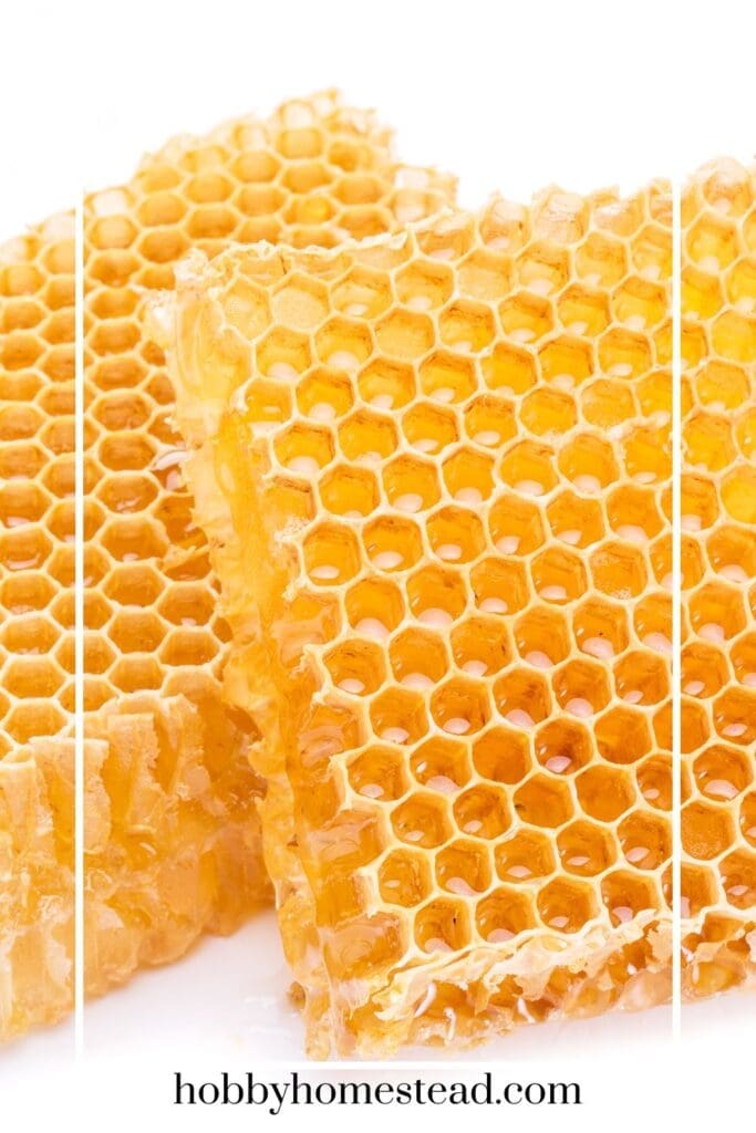 Honeycombs