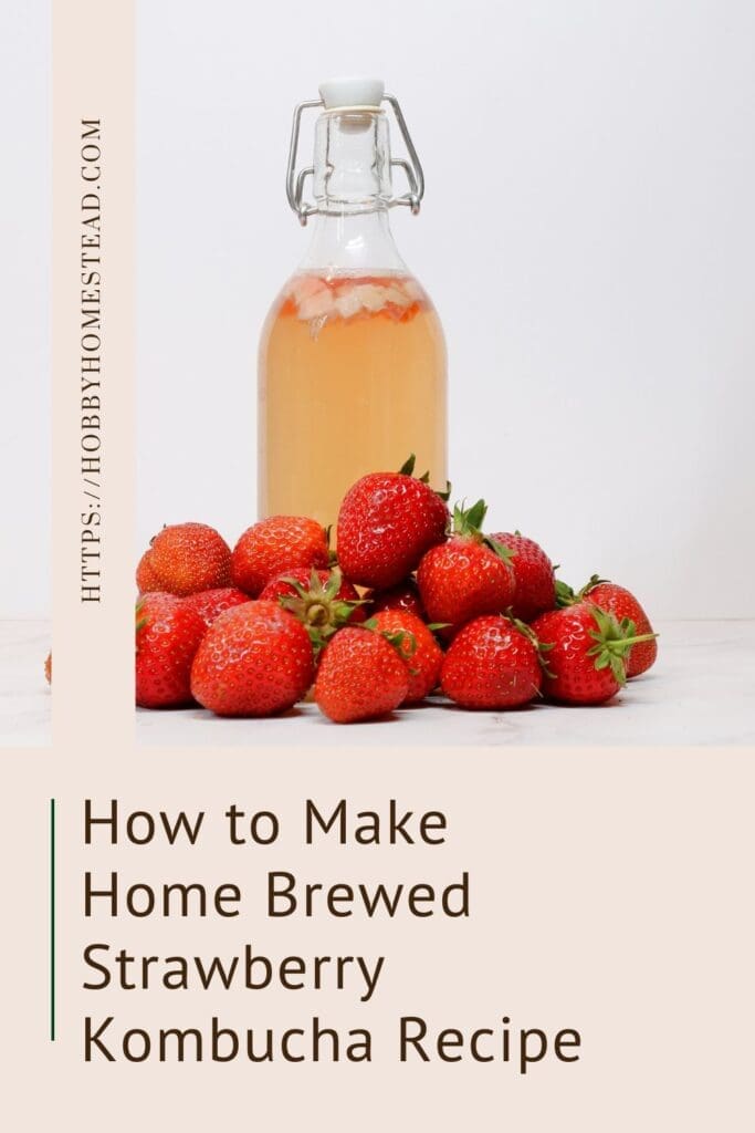How to Make Home Brewed Strawberry Kombucha Recipe