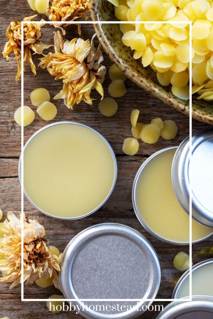 Tins of Beeswax Lip Balm