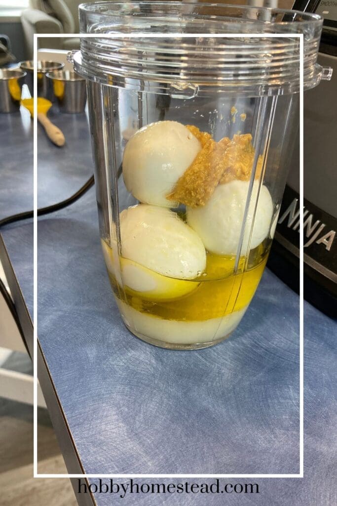 Adding Mayonnaise Ingredients to Blender