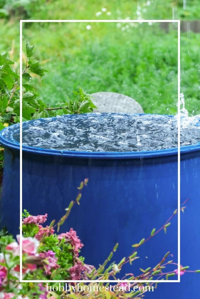 Collecting Water in a Rain Barrel