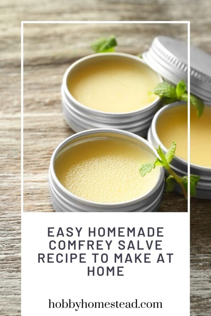 Easy Homemade Comfrey Salve Recipe to Make at Home