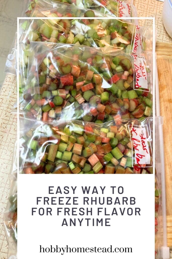 Easy Way to Freeze Rhubarb for Fresh Flavor Anytime