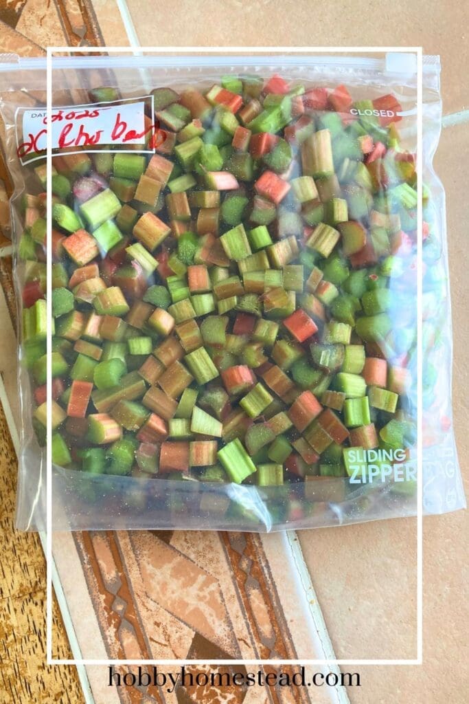 Freezer Bag laying Flat with Rhubarb Pieces
